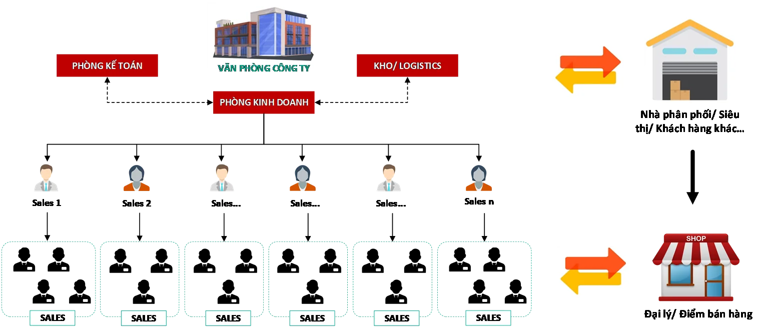 Mô hình sales out trên phần mềm dms bravo