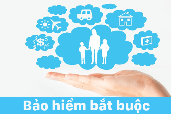 Những loại bảo hiểm bắt buộc trong doanh nghiệp hiện nay - Bravo