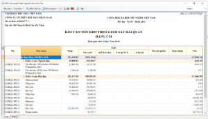 Hệ thống báo cáo Hải quan 1
