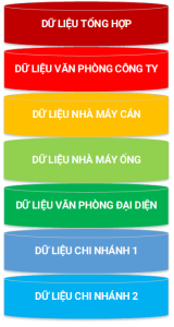 Database organization model