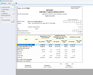 Customs Reporting System