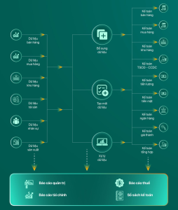 Quy trình quản lý tài chính kế toán
