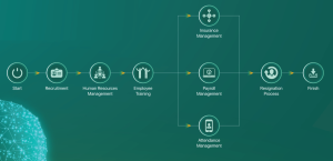 Quy trình quản lý nhân sự EN