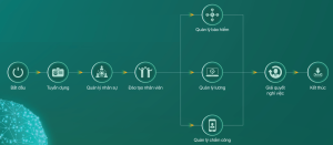 Quy trình quản lý nhân sự