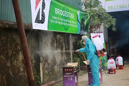 Phát quang sạch sẽ và phun thuốc xịt muỗi Phát quang sạch sẽ và phun thuốc xịt muỗi