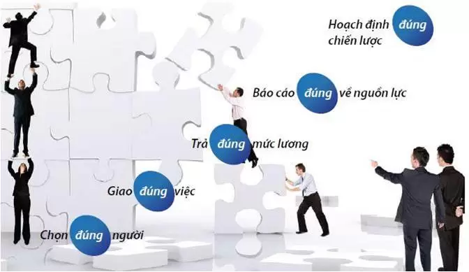 Góc kiến thức - Quản lý doanh nghiệp là gì?