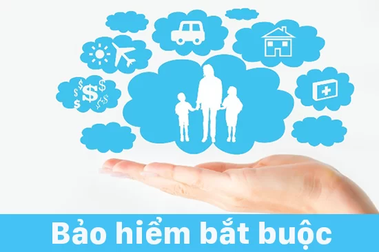 Những loại bảo hiểm bắt buộc trong doanh nghiệp hiện nay