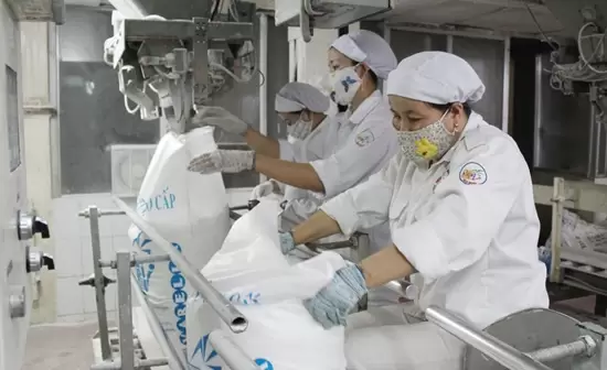 Phần mềm BRAVO và bài toán tại Công ty Cổ phần Fococev Việt Nam