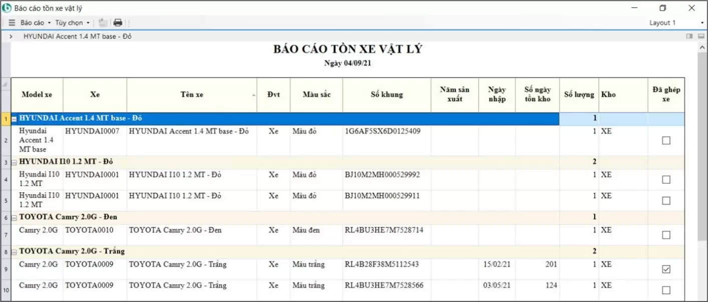 Báo cáo tồn xe vật lý