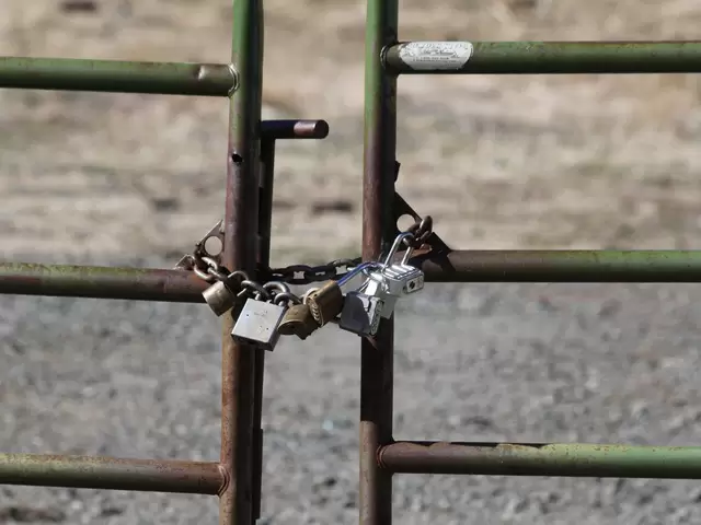 Description: https://cafebiz.vcmedia.vn/k:2016/7-nhung-du-doan-cua-bill-gates-cach-day-20-nam-da-tro-thanh-su-that-1451912813559/nhung-du-doan-cua-bill-gates-cach-day-20-nam-da-tro-thanh-su-that.jpg