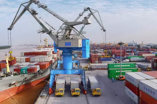 Cùng Viconship “chuyên nghiệp để phục vụ khách hàng”