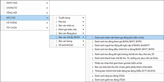 Tính năng quản lý Bảo hiểm xã hội của phần mềm BRAVO (Ảnh 12)