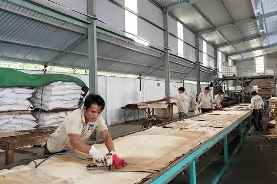 Hướng dẫn doanh nghiệp xin giảm mức đóng BHXH bắt buộc - Ảnh 2 doanh nghiệp xin giảm mức đóng BHXH bắt buộc 2