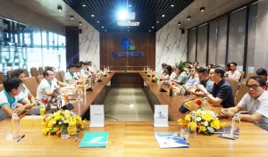 BRAVO và DACINCO cùng nhau thảo luận và đề xuất các phương án tối ưu