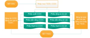 Quy trinh kế toán tài sản công cụ dụng cụ