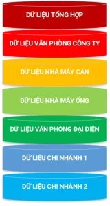 Database organization model