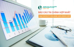 báo cáo tài chính hợp nhất trên bravo