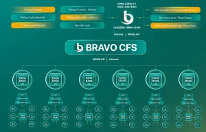 Mô hình hợp nhất tổng thể